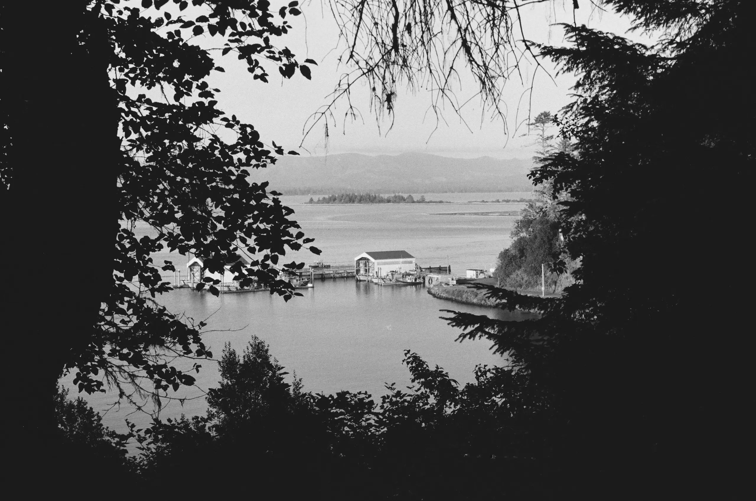 Black-and-white photograph of a coast guard station on water, two white boathouses and a number of docks. Islands and mountains are far in the fading distance. Dark silhouettes of trees frame the scene, bearing leaves of all shapes.