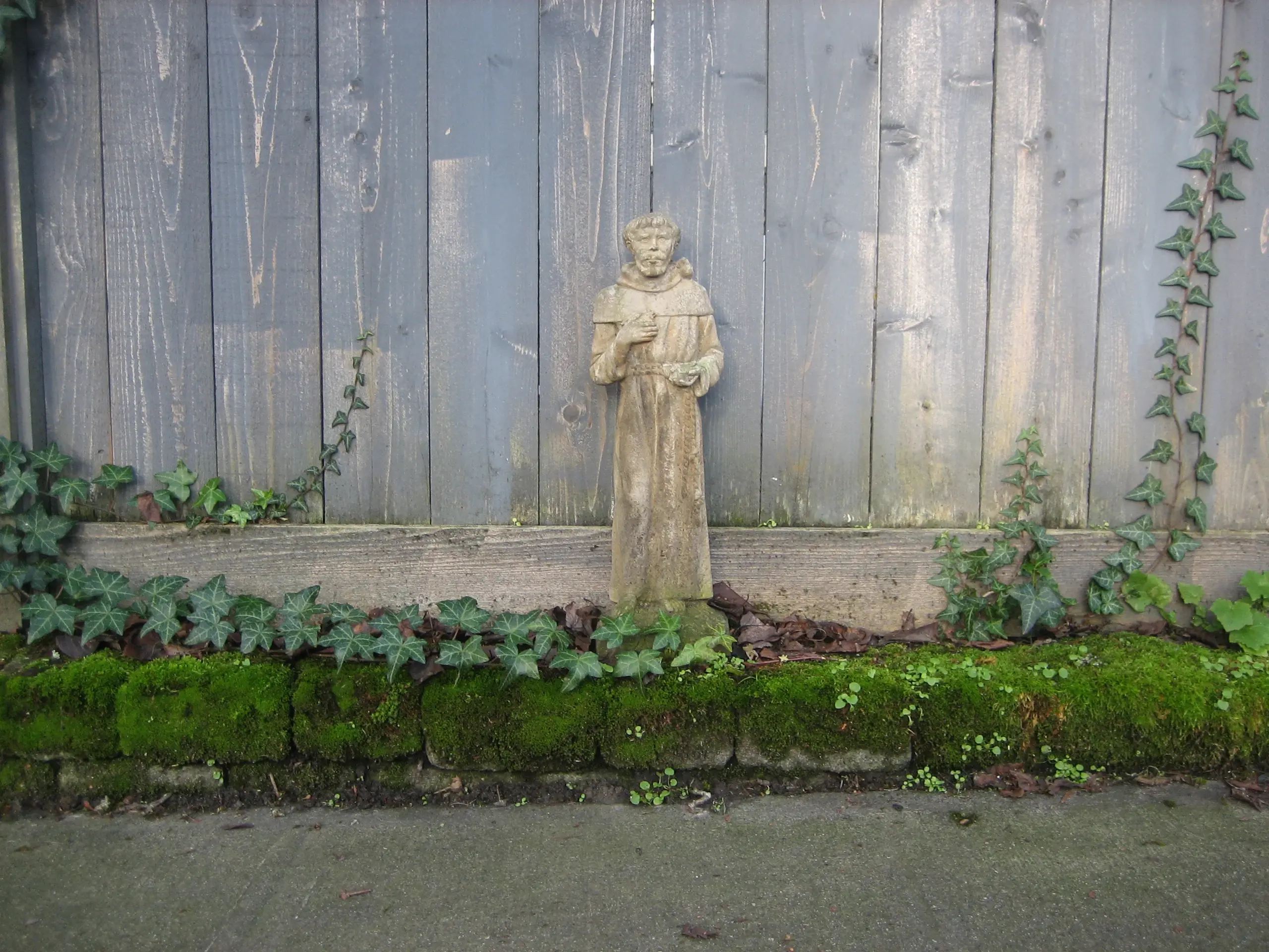 Photograph of a small statue of Saint Francis sat upon mossy bricks along a sidewalk. He is centered against a brown fence, encroached upon by crawling plants.