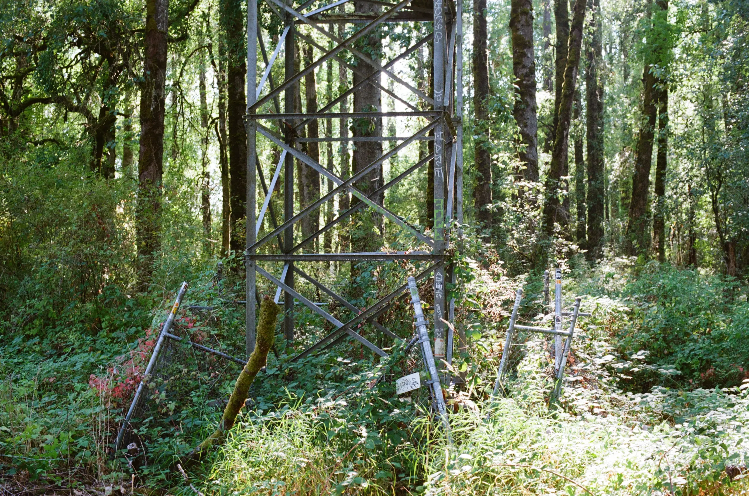 Photograph of a metal frame tower in dense forest, surrounded by a fence that has broken, folded. Foliage has rushed in over the disrepair.