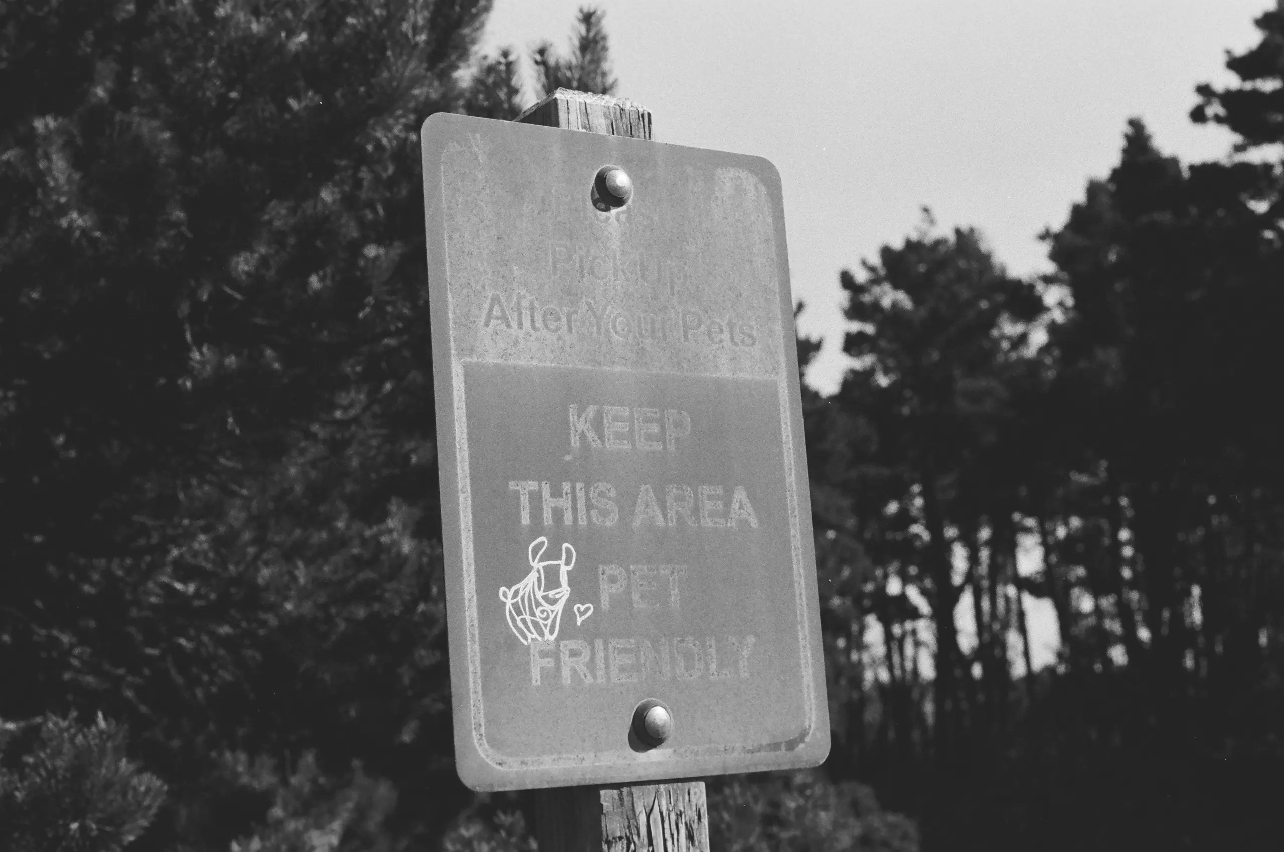 Black-and-white photograph of a sign in a wooded area. It reads, "Please Pick Up After Your Pets," then, in stern all-caps, "KEEP THIS AREA PET FRIENDLY". Sitting atop the "F" in "FRIENDLY" is graffiti of a cute animal (some sort of dog, maybe) and a heart.