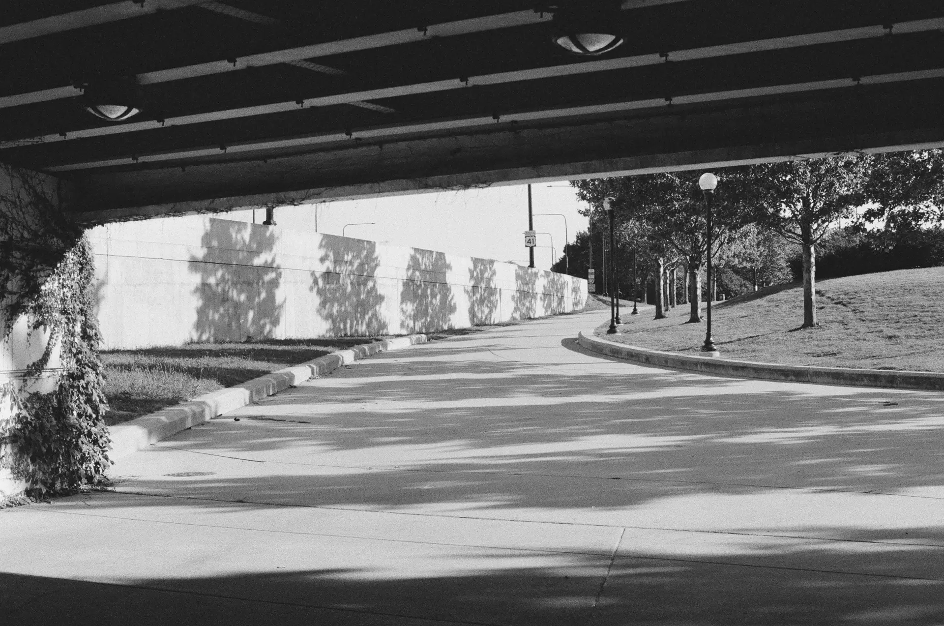 Black-and-white photograph of a winding concrete path taken from beneath an overpass, on whose walls ivy grows. The path is lined with grees and lamps, the shadows of which are cast on its trail, creating a stripe-like pattern.