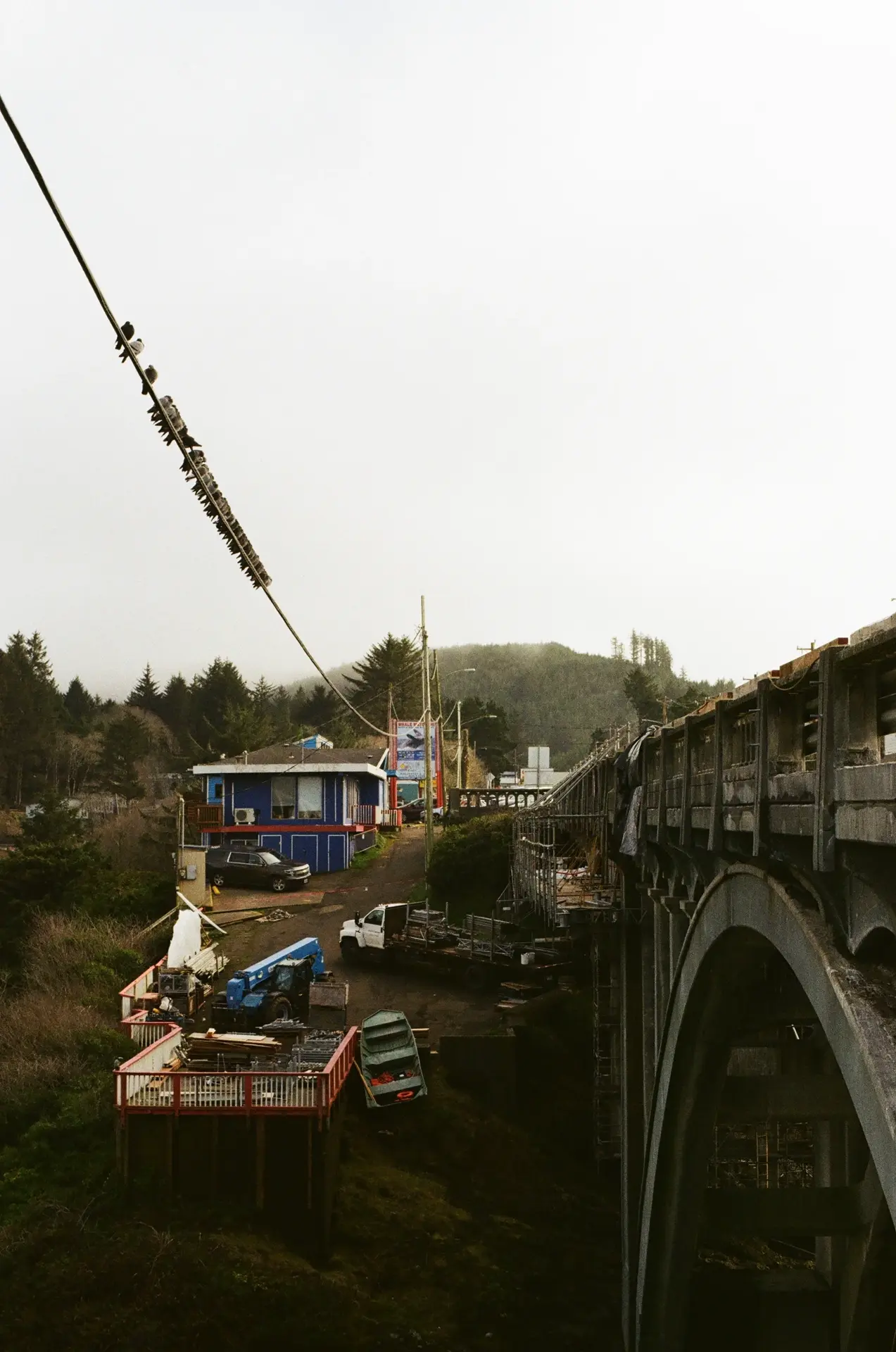 Photograph of a bridge running across a valley. Parallel to the bridge is a power line, on which a flock of birds sits. Running down the side of the valley are several work vehicles and lumber stacks. The sky is gray, and the skyline is dotted with trees and a distant hill.