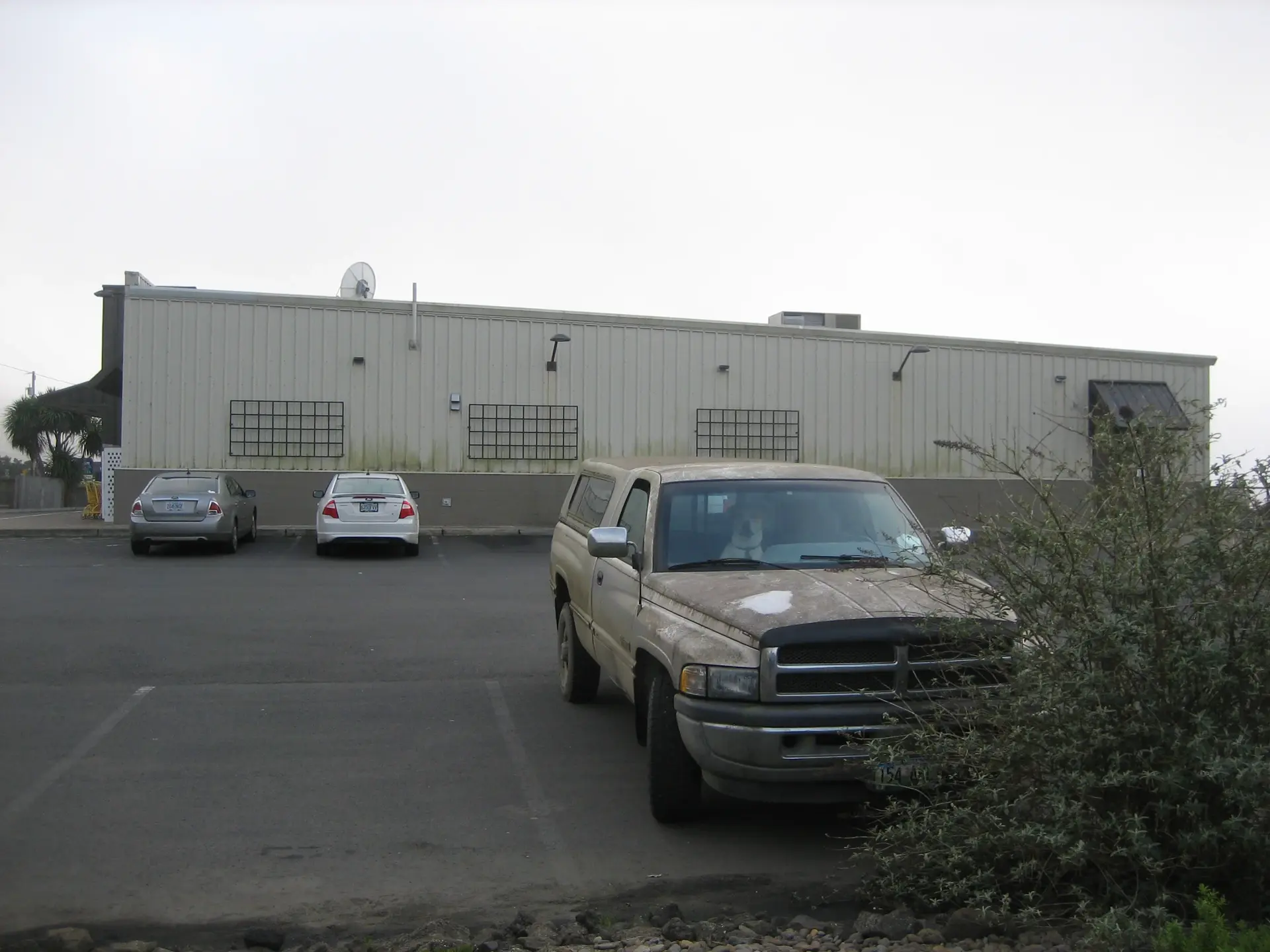 Photograph of sparse parking lot on a gray-sky day. In the background are two cars, one gray and one white, in front of a small, one-story white building. In the right foreground is a dirty white truck with ranch cap. Behind its blue windshield sits a large dog with eyes towards the camera.